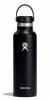 Hydro Flask STANDARD MOUTH Stalowa Butelka Termiczna do Wody 620 ml / Czarna